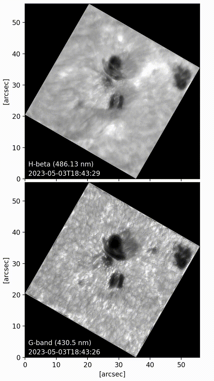 Анимация показывает временную эволюцию области солнечной вспышки и окружающих солнечных пятен, наблюдаемых инструментом VBI на солнечном телескопе Inouye. Источник: NSO–NSF  📷
