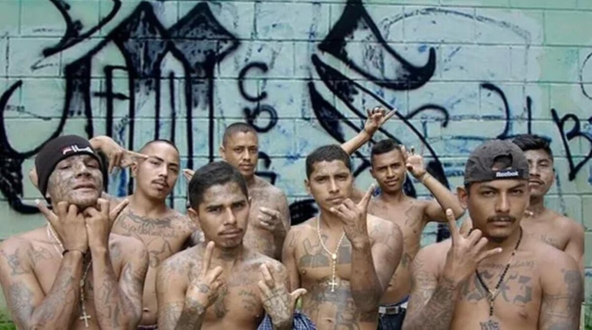 Лозунги MS-13: «Живешь ради Бога и матери, а умираешь ради банды»; «То, что принадлежит Богу, - принадлежит Богу, но то, что не принадлежит ему, - наше»: «Из банды есть три пути - в больницу, в тюрьму, на кладбище», «Ты убиваешь ради банды, и ты умираешь ради банды».