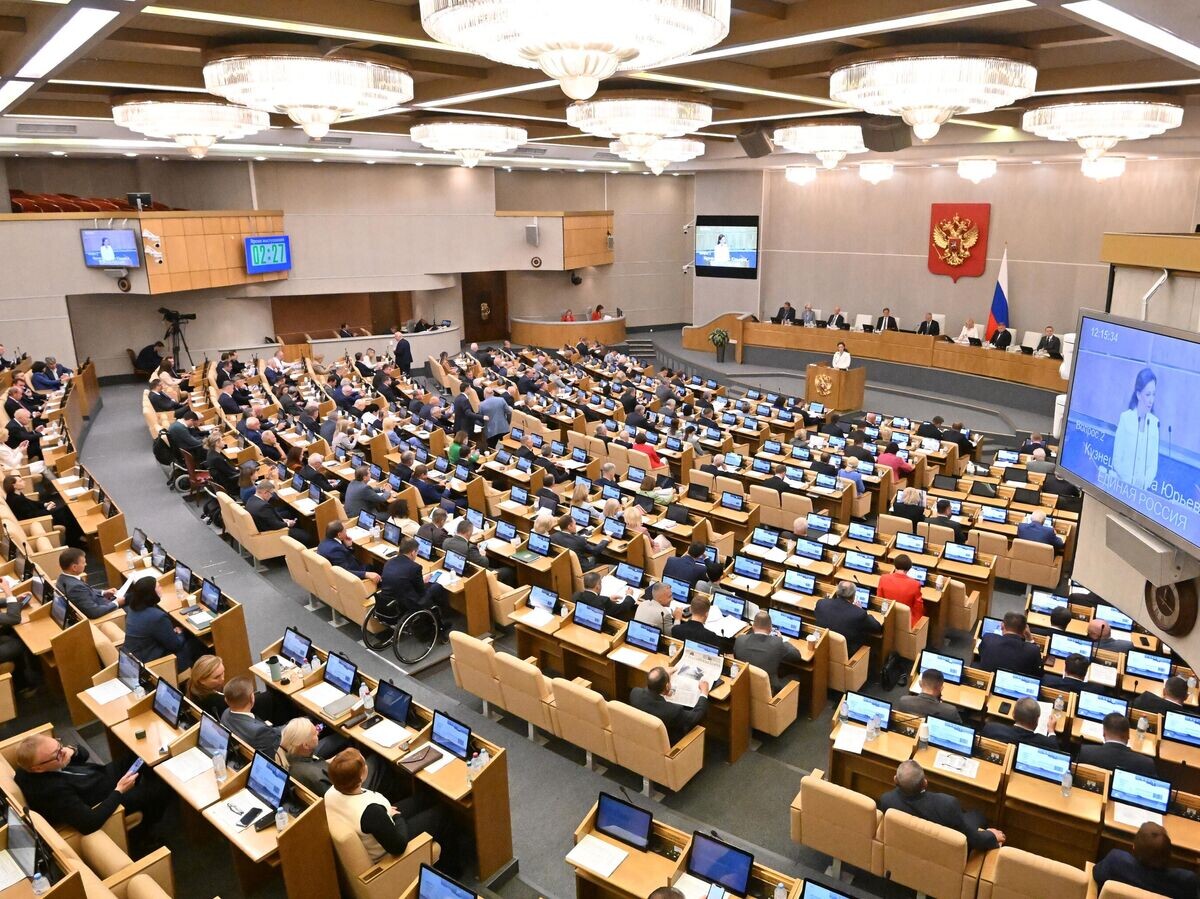    Заместитель председателя Государственной Думы РФ Анна Кузнецова выступает на пленарном заседании Государственной Думы РФ© РИА Новости / Владимир Федоренко