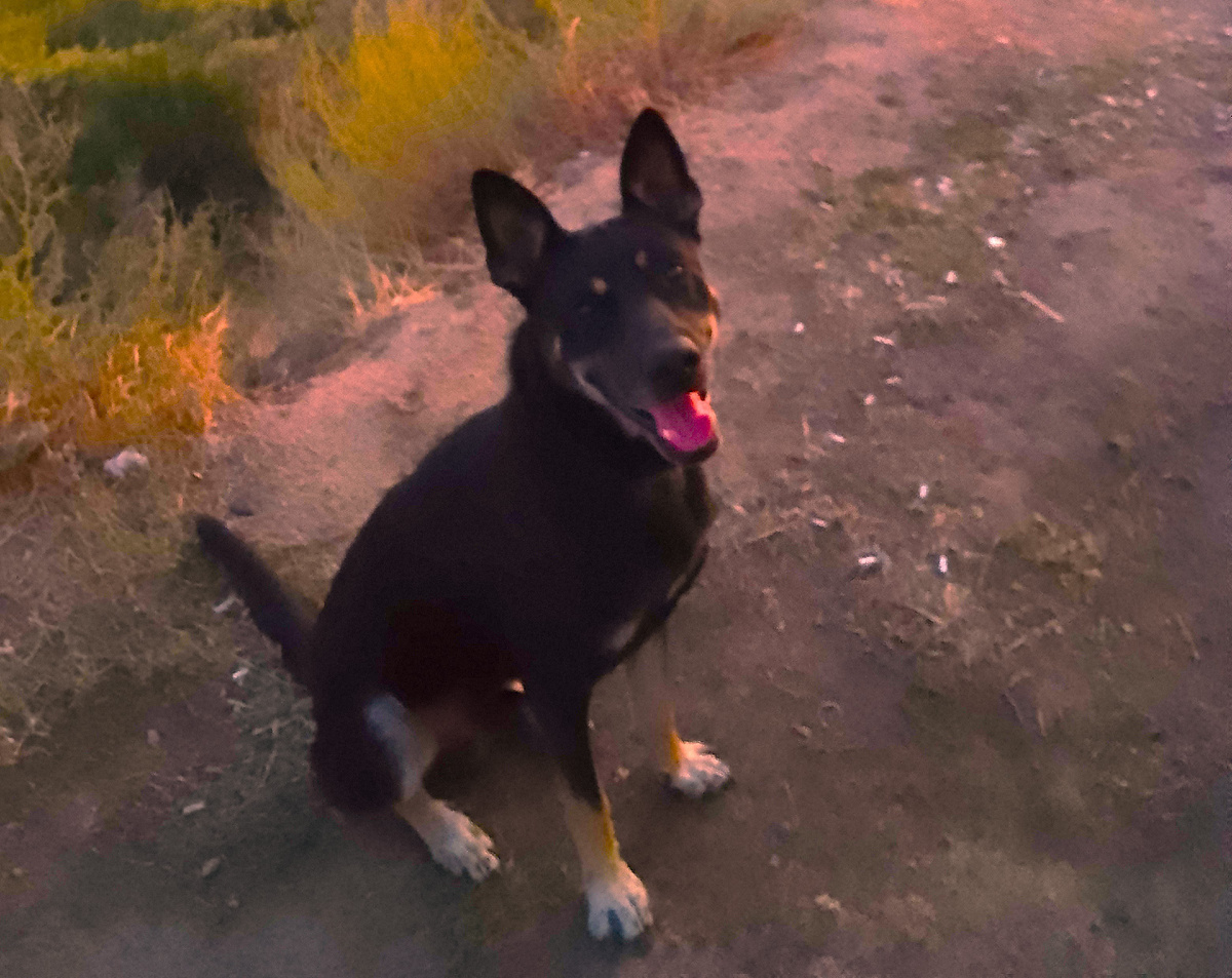 А пусть себе зовёт, я с тобой посижу