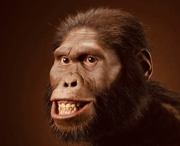 Австралопитек. Реконструкция по черепу.