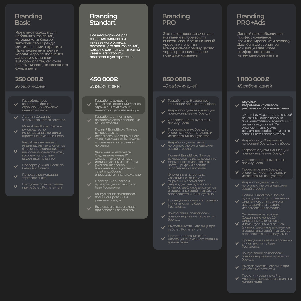 Branding Basic — 250 000 рублей: