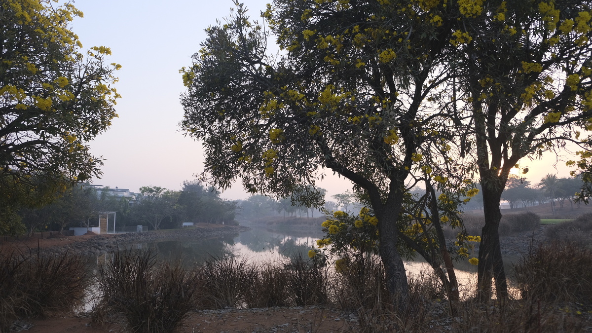 Автор: Тутов Юрий, утро Бангалора