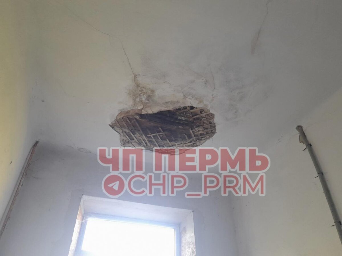   © telegram-канал "Пермь ЧП и ДТП, новости"
