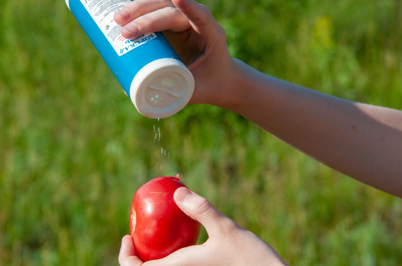    Фото: Svetlana Vozmilova/Globallookpress