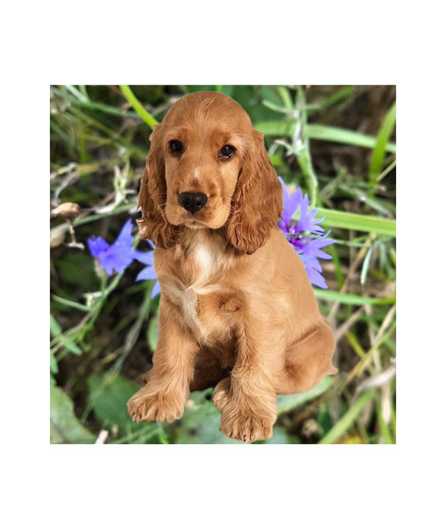 Патя собственной персоной