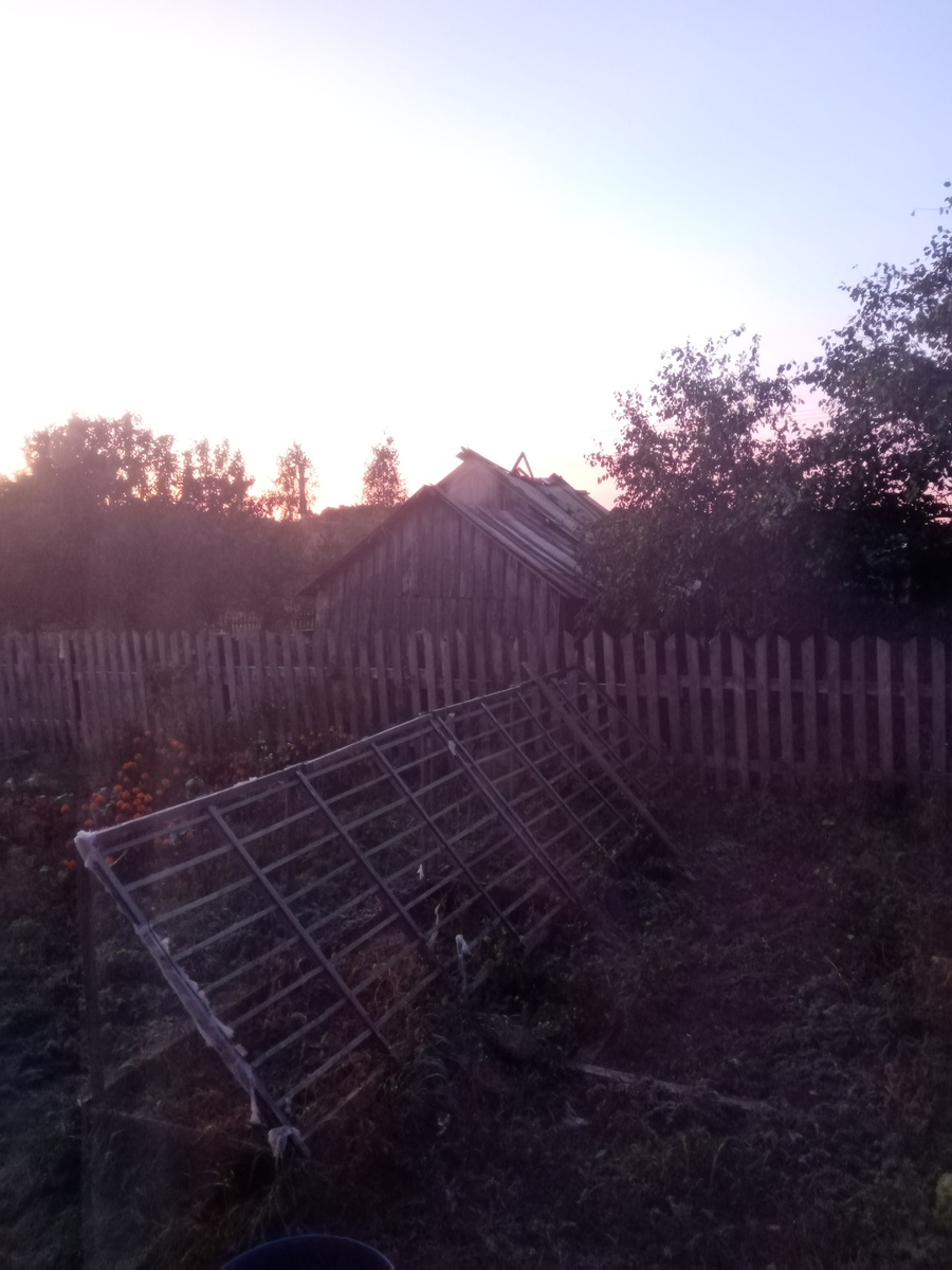 Фото сделала позже. 