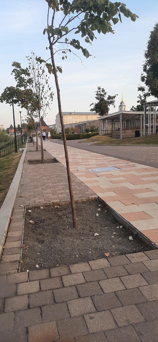 Здесь несколько фото, листайте.