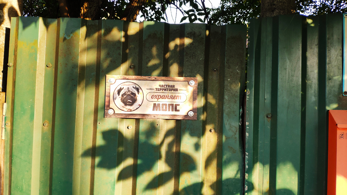 Фото: Конкорд Лайф