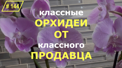 # 144 Про обязательные первичные адаптационные действия с новыми шикарными цветущими орхидеями. Распаковка посылки с орхидеями