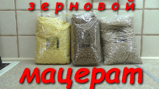 Download Video: Мацерация зерновых. Кукуруза. Гречка. Пшеница.