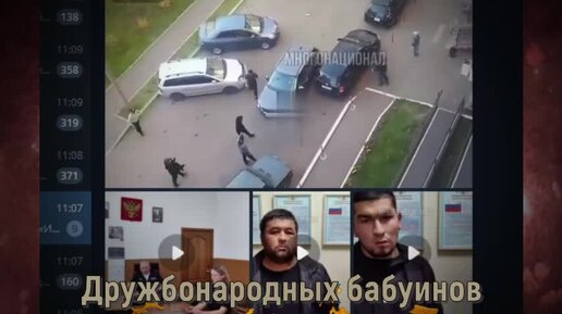 Дружбонародных бабуинов задержали только через год