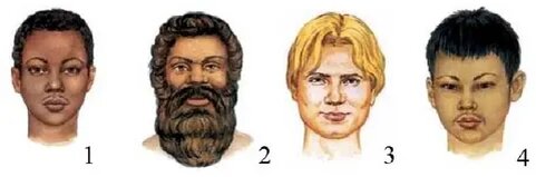 Фото взято из открытого доступа Сети и принадлежит своим хозяевам.