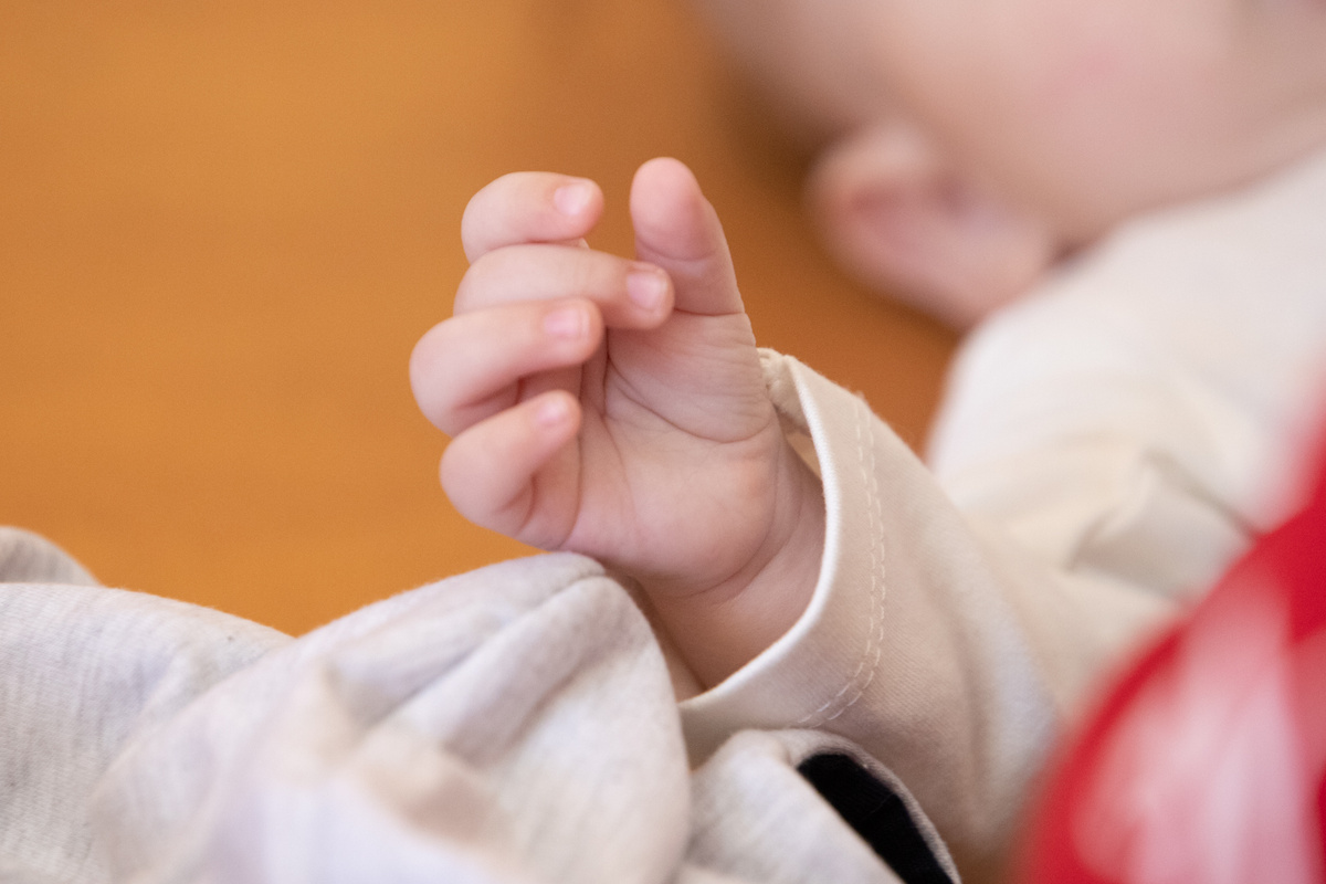 Фото: Тульская служба новостей