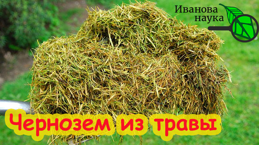 Video herunterladen: ТРАВА - ОСНОВА ПЛОДОРОДИЯ. Делаю травяной гумус чернозем осенью и урожай прёт как на дрожжах!