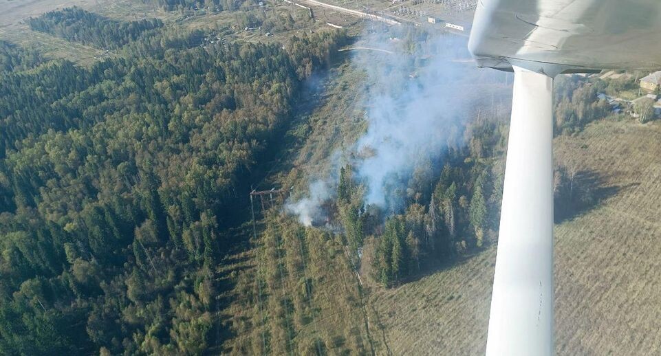    Комитет лесного хозяйства Московской области