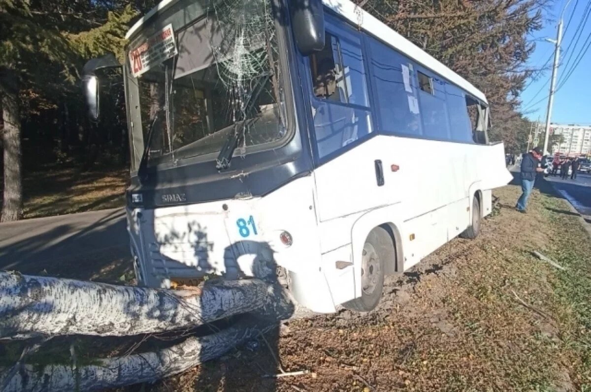    По факту ДТП с автобусом на Московском шоссе возбудили уголовное дело