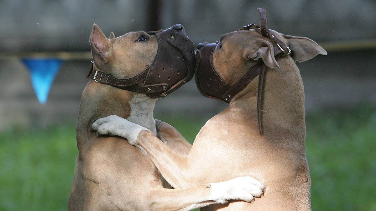    Фото: Владимир Смоляков / Вечерняя Москва