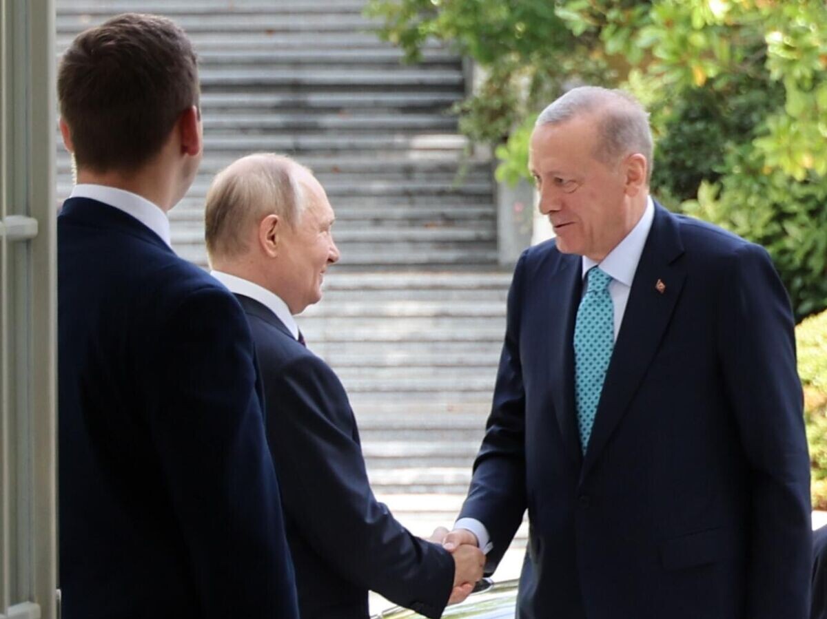    Президент РФ Владимир Путин и президент Турецкой Республики Реджеп Тайип Эрдоган во время встречи в Сочи© РИА Новости / Михаил Климентьев