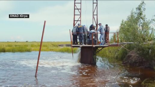 Многомиллионную партию мальков ценной рыбы выпустили в водоемы Югры