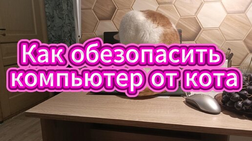 Обезопасить компьютер от кота