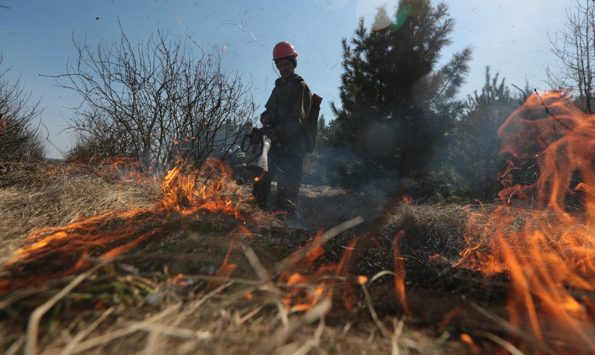 Фото: nsknews.info