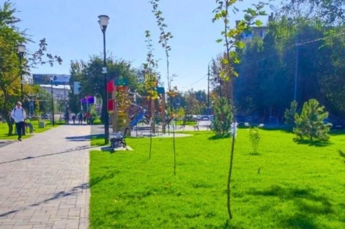    Больше 250 новых деревьев высадили в Волгограде на 7-й Гвардейской