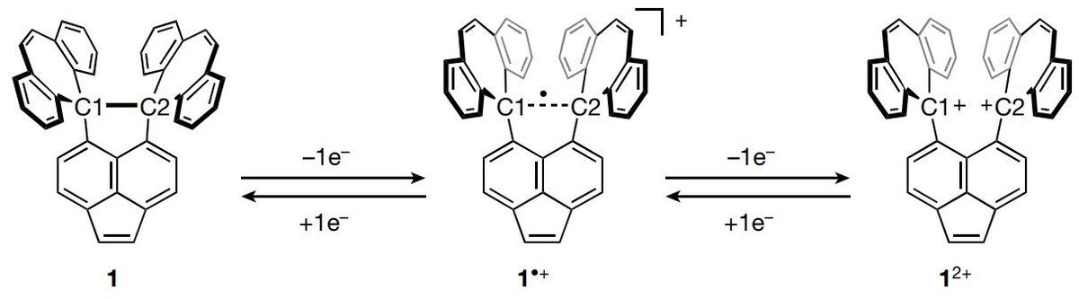   Takuya Shimajiri et al. / Nature, 2024