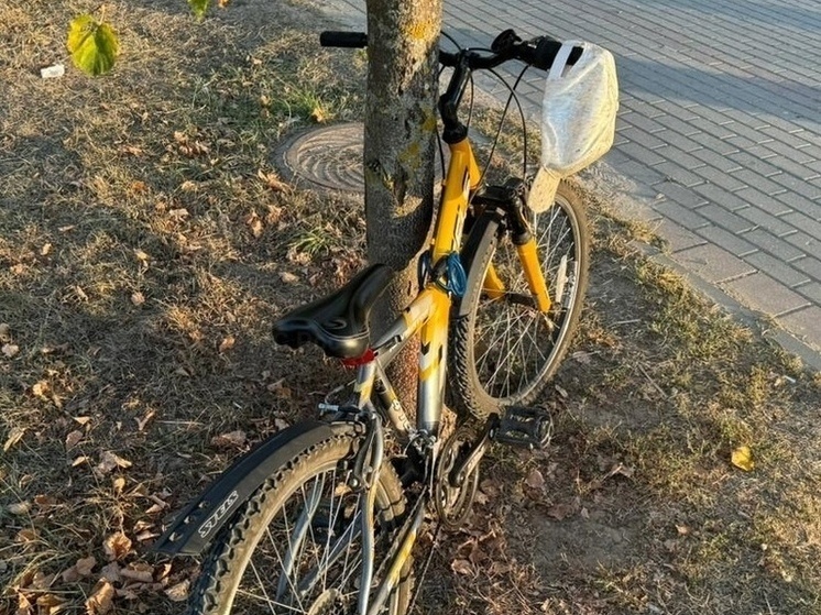     Фото: ГУ МЧС по Калужской области