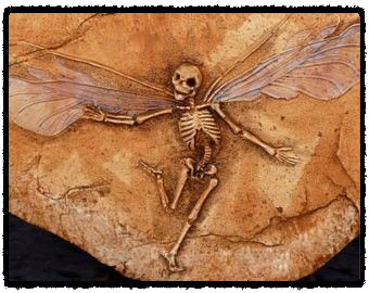 Странная находка 