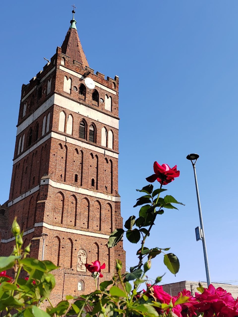 Улица Столярная, 13