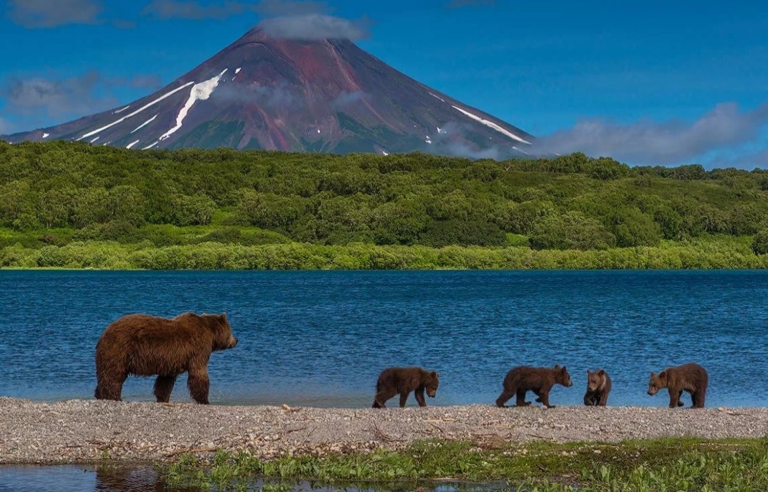 Из открытых источников в интернете. Камчатка.