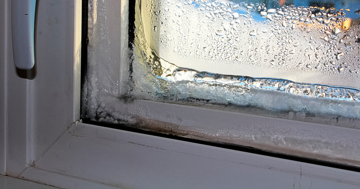 Фотография взята из источника yandex.ru