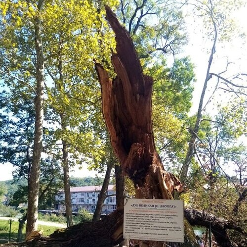    Фото: телеграм-канал Евгения Витишко