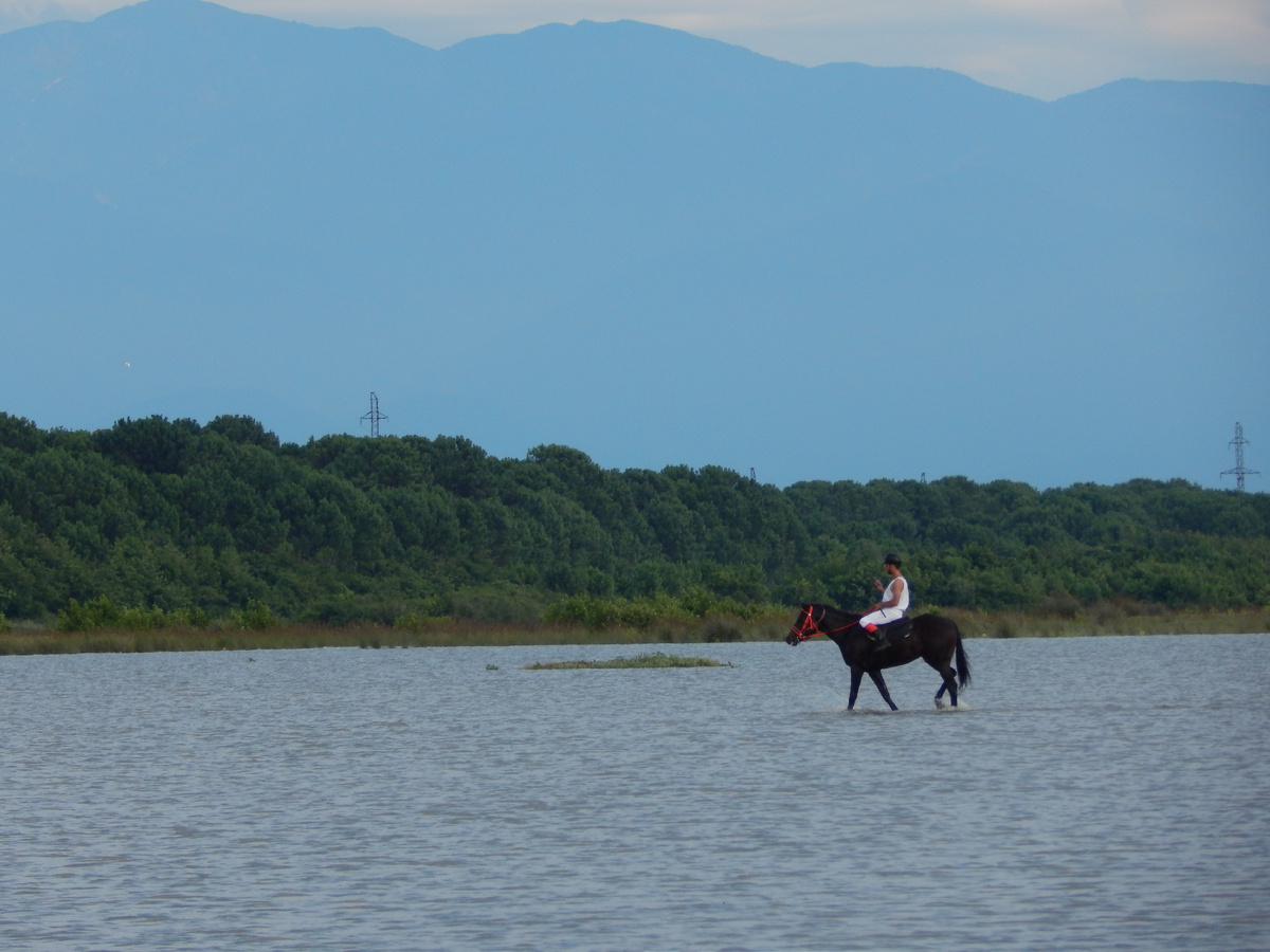 Шикарный грузинский наездник. Грузия. Чёрное море