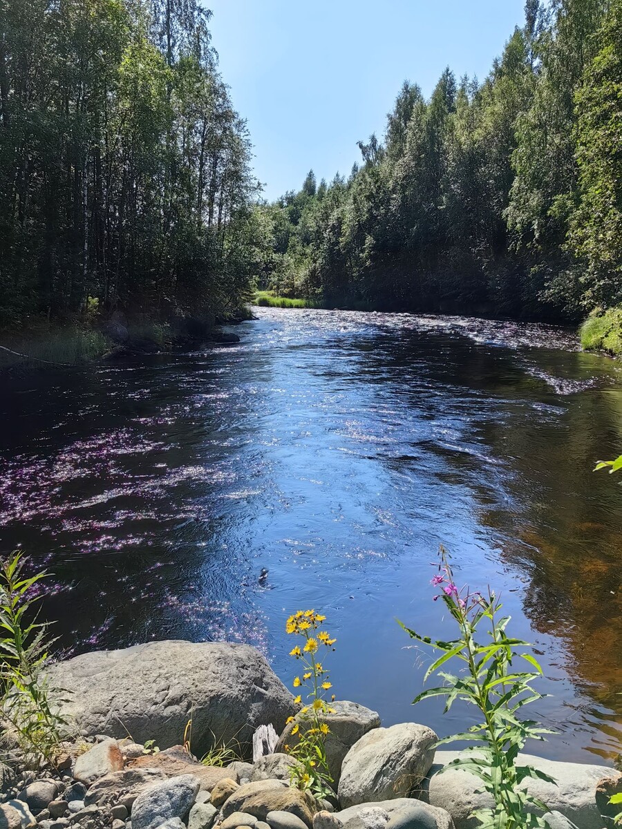 Река Кепа