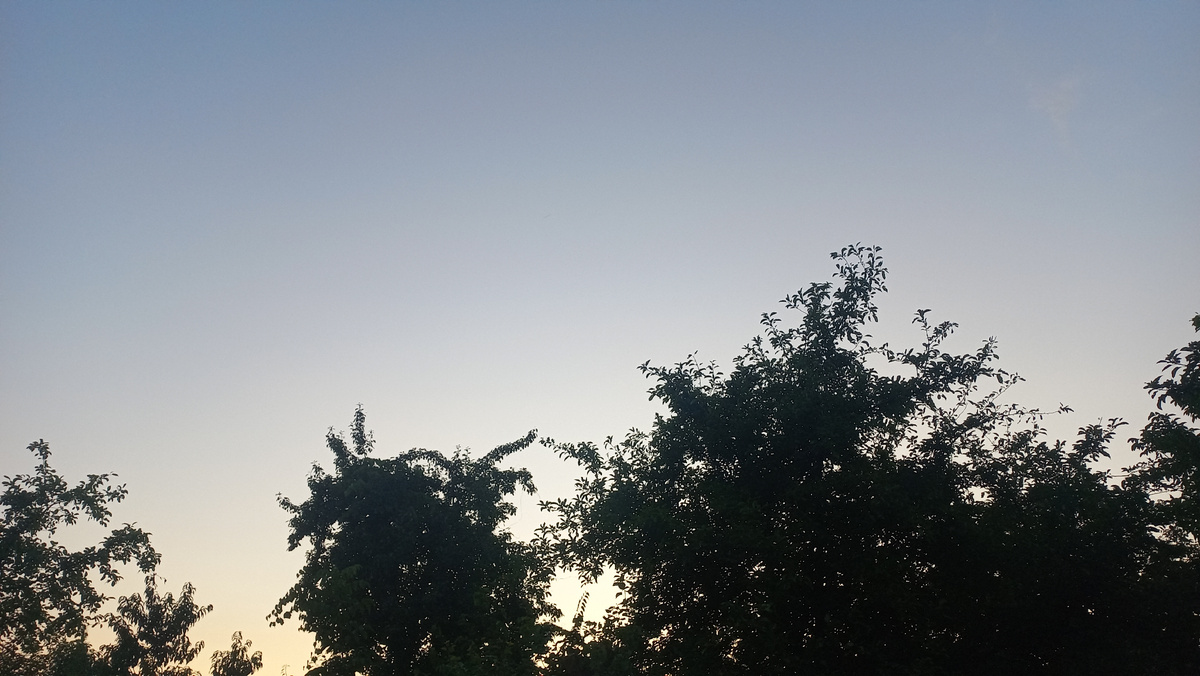 Это и другие фото в статье сделаны автором и принадлежат ему на условиях авторского права