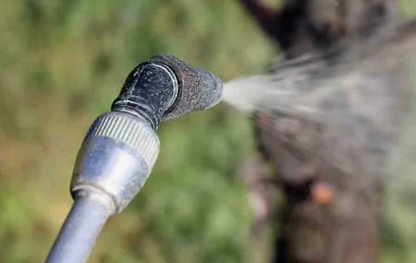 Опрыскиваю осенью деревья этим природным средством, чтобы на весь год избавить их от вредителей и болезней…