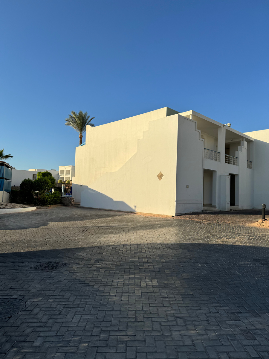 личное фото автора