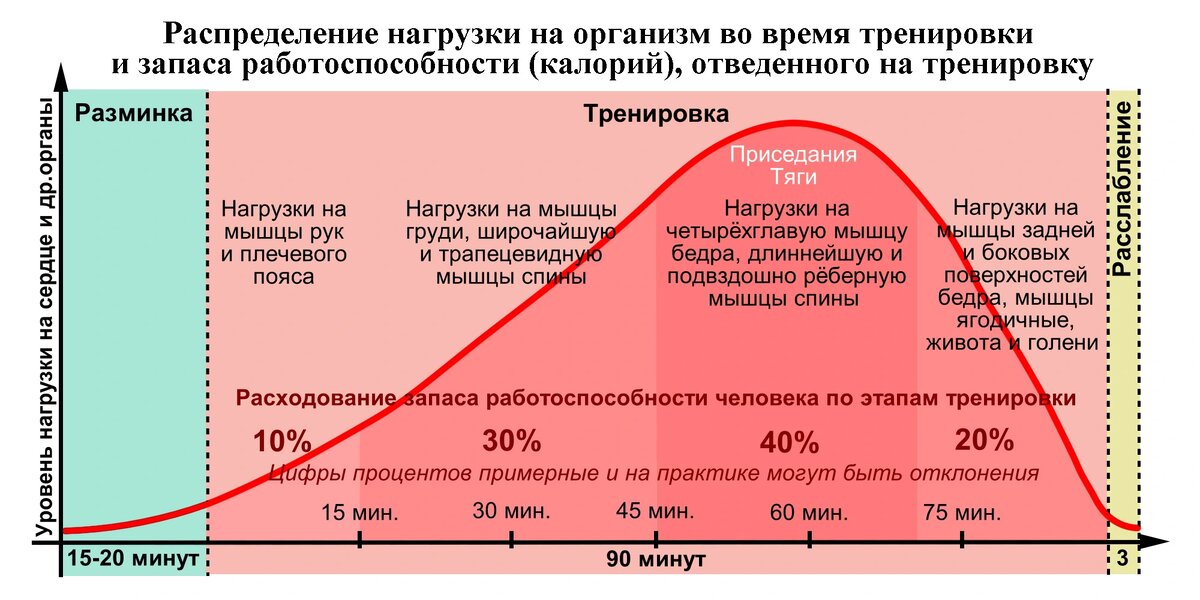 Распределение нагрузки на организм во время тренировки и запаса работоспособности (калорий), отведенного на тренировку