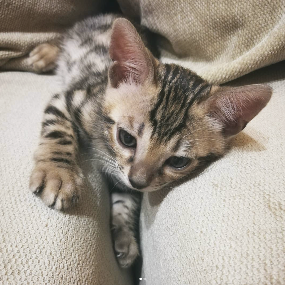 Первые дни дома