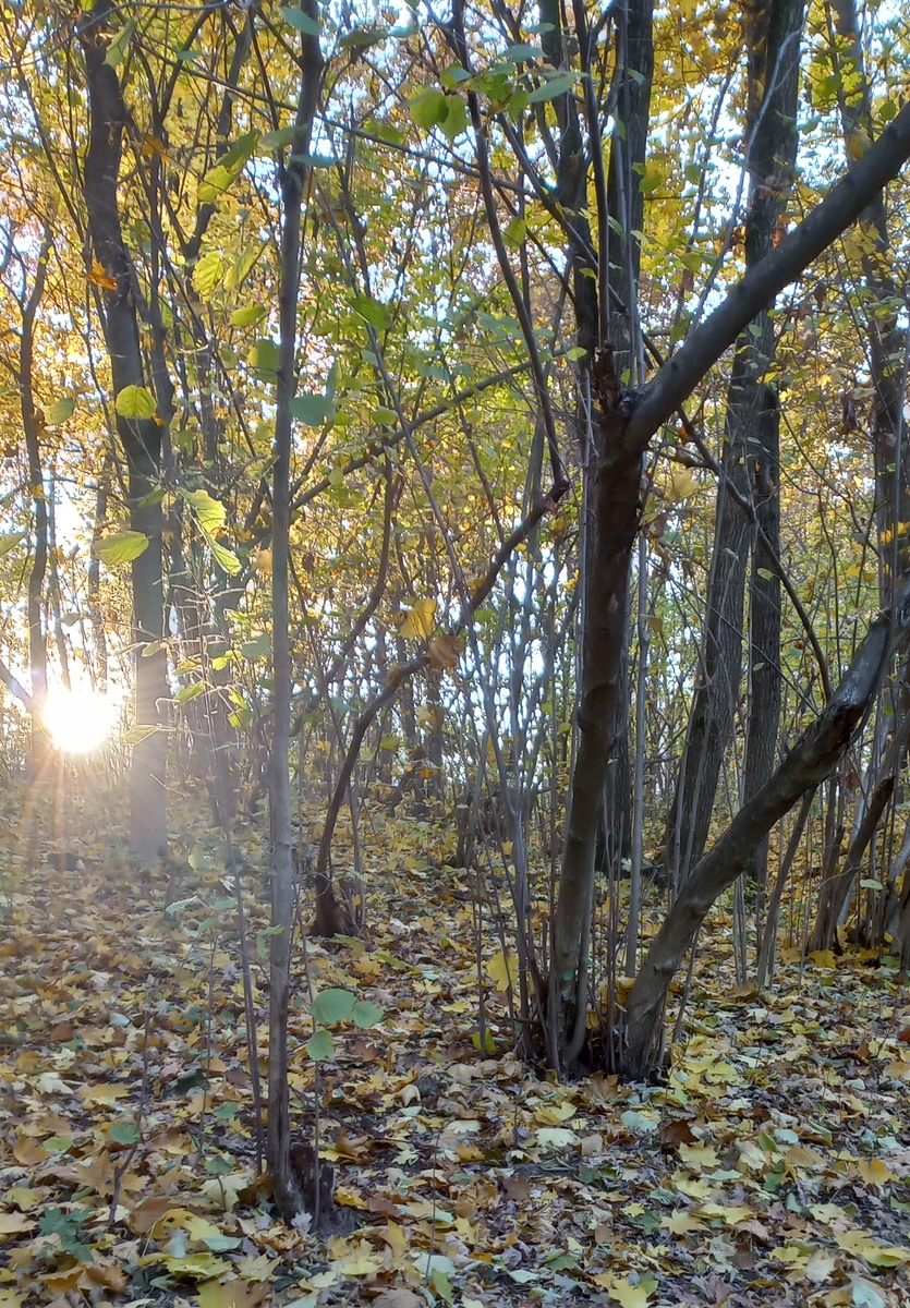 Фото автора