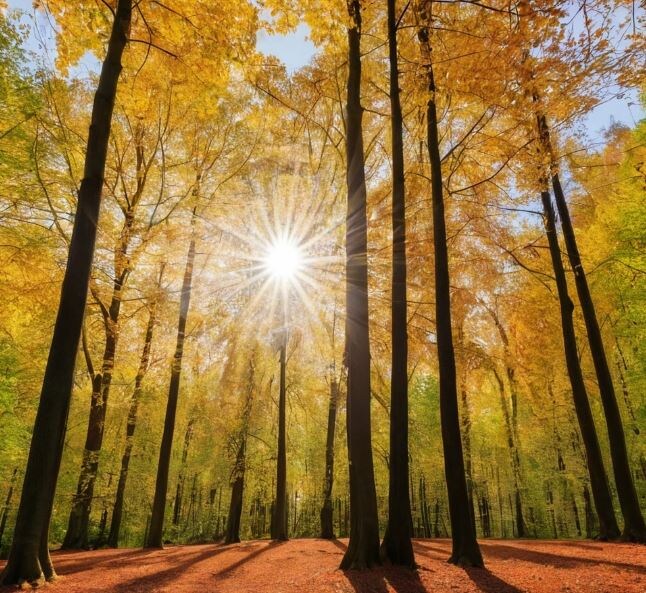 Фото сделано с помощью нейросети .