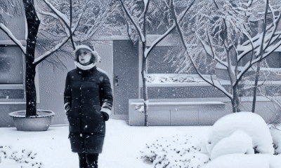 Свежий снег во дворе