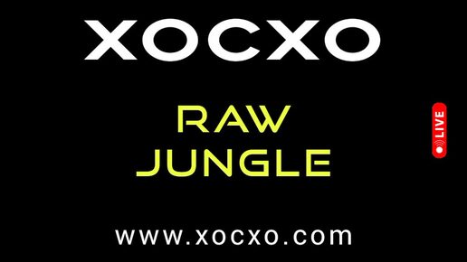 XOCXO Drum-and-bass Music 2024 - ХОСХО драм-энд-бейс музыка - хиты фестивали 2025 - RAW JUNGLE