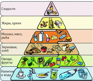 "Таблица продуктов которые нужны для правильного питания"