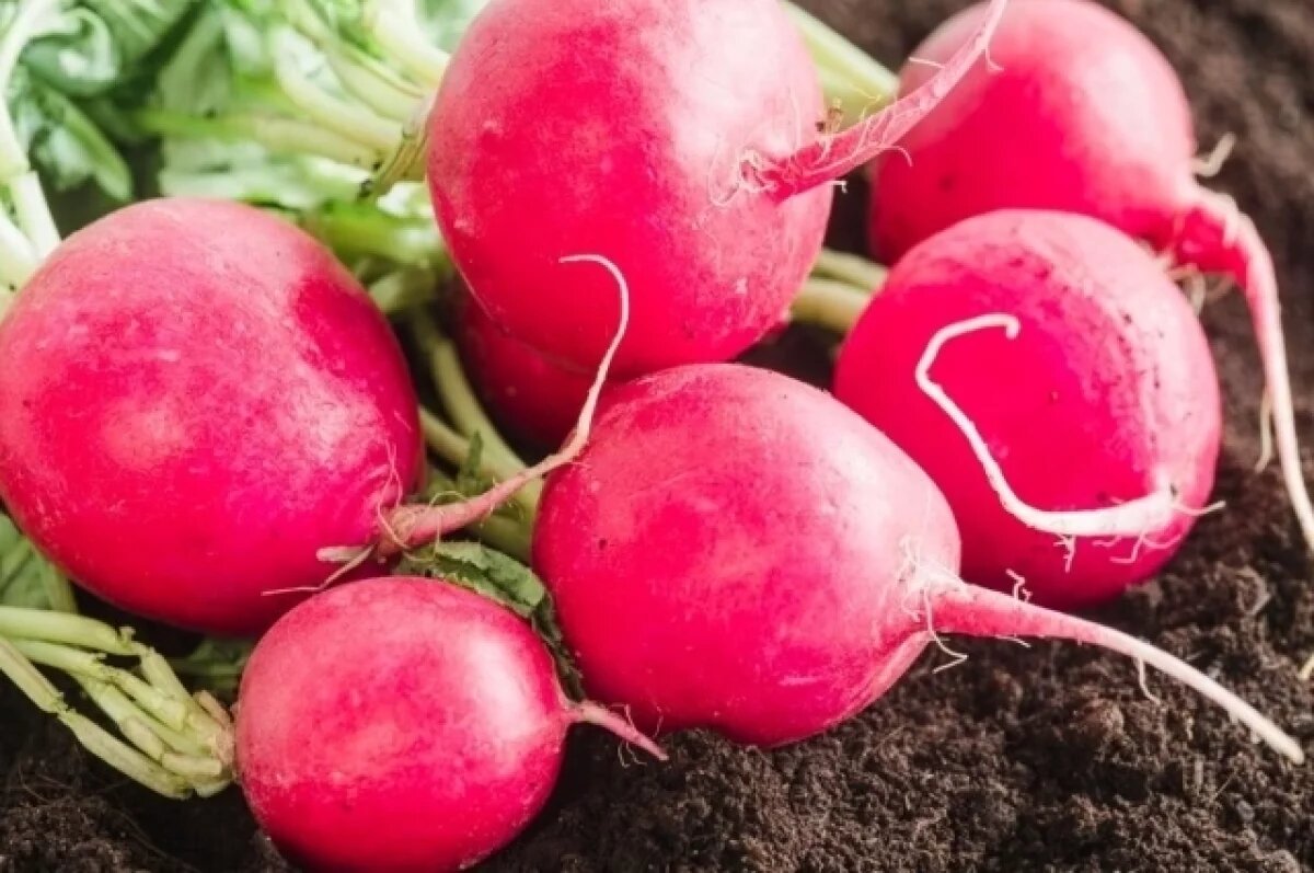    Новосибирцам рассказали о запретах в Корнилов день 26 сентября