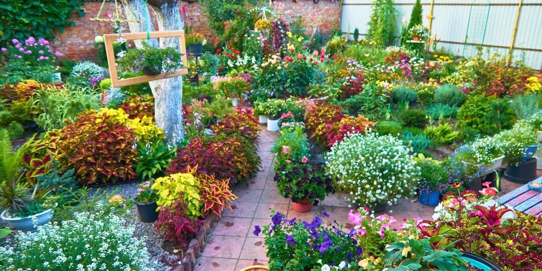 БАЙКИ ИЗ САДА . часть 9