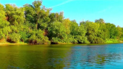 Звуки природы.Бабье лето на реке.Мелодия осени.Астраханская степь