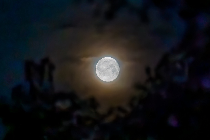    Фото Андрея Заржецкого из архива VN.ru